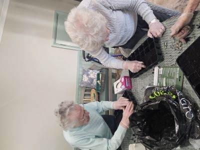 Sunflower Contest Brightens Spirits at Arkall Manor