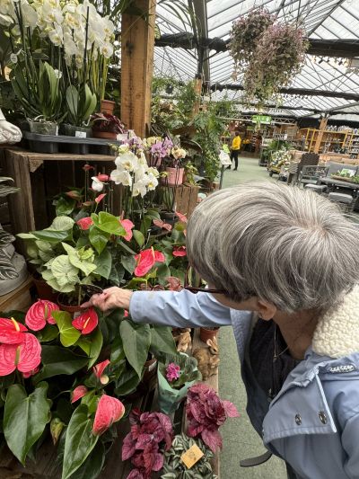Brook Lodge Residents Blossom with Garden Centre Outing