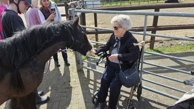 Holly Grange Residents Enjoy Heartwarming Equestrian Adventure