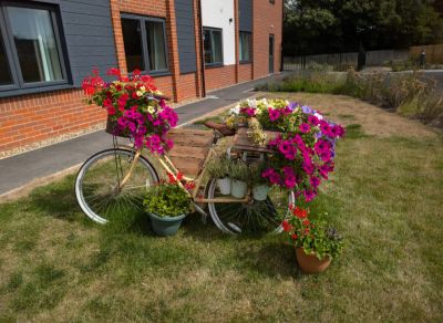 Harbour Manor Wins Big at Felixstowe in Flower 2024!