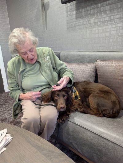 Therapy Dog Darcy Delights Residents at Harbour Manor