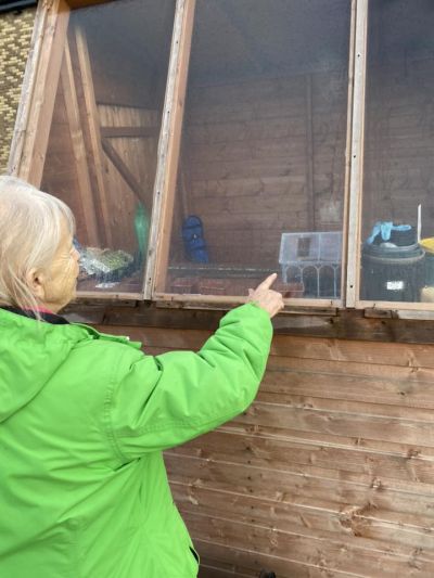 Sunny Stroll in Meadow Croft Gardens Brings Joyful Connections