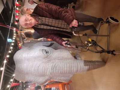 A Trip to Show Town for Pear Tree House