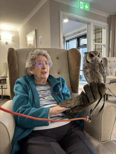 Waterhouse Manor Delights with Bird of Prey Experience