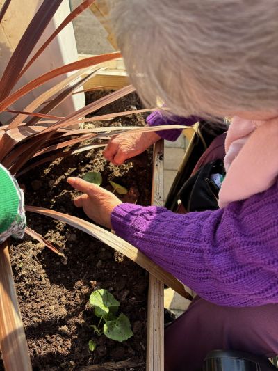 Garden Club Blossoms at Waterhouse Manor