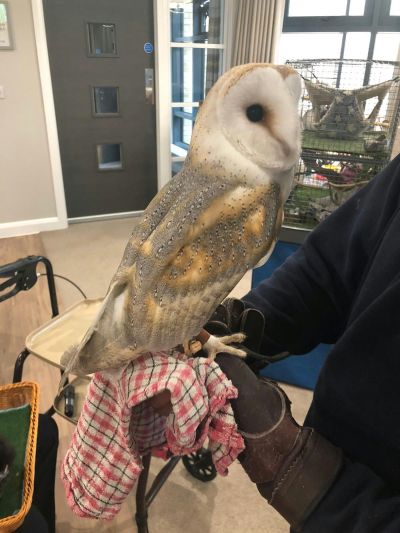 Joyful Animal Encounter Delights Residents at Waterhouse Manor
