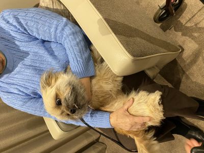 Meadow Croft Residents Find Joy with Beloved Dog Hattie