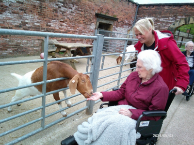 A Day Out at Wentworth Garden Centre for Montagu Hall Residents