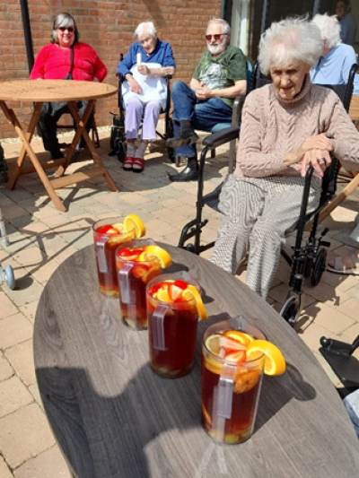 Old Norse Lodge Residents Enjoying the Weather