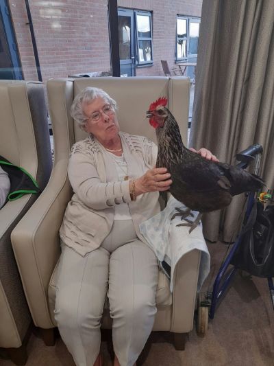 Joyful Bonds at Old Norse Lodge's Petting Party