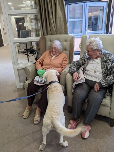Therapy Dog Henry Brings Joyful Reunion to Old Norse Lodge
