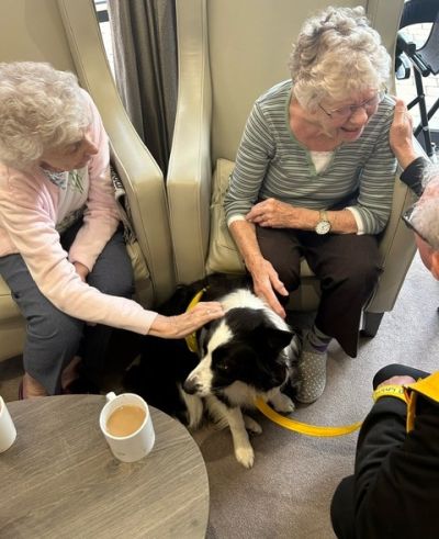 Joyous Tunes and Floss the Dog Delight Residents