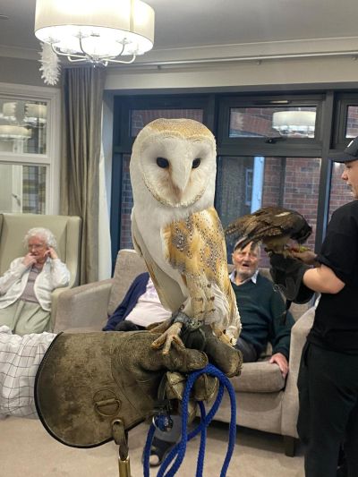 Owls Bring Joy and Wonder to Pear Tree House Residents