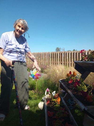 Pear Tree House Shines in Danforth Garden Contest