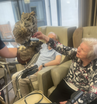 Owls Bring Joy and Wonder to Rossendale House Residents